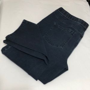 Isaac Mizrahi Dark Denim Jegging Pull On Jeans 12T